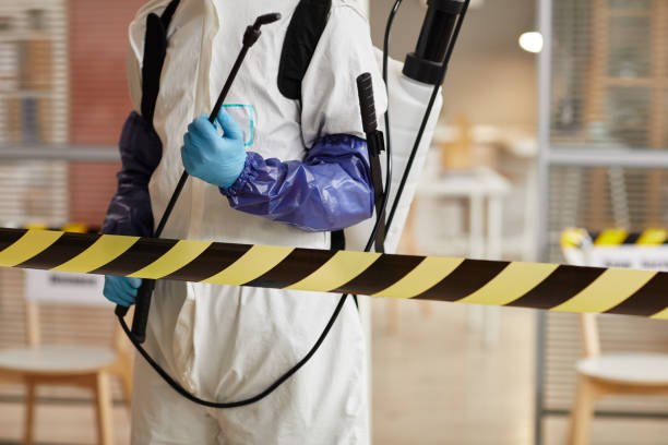 Professional Sewage Cleanup technician working in Spring Valley, AZ